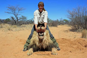trophy-hunting-lions-in-africa-with-hunting-in-africa-safaris