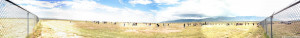 Fence to fence panorama