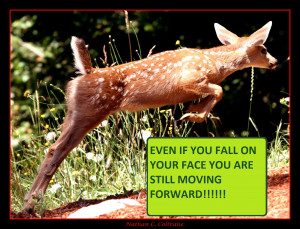 Poster 6. I chose the deer because I liked the saying and the picture ...
