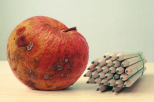 Credit: aimy27feb, bogdan ionescu via Shutterstock/Salon)