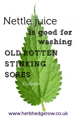 Herbal Quote Nettle Culpeper