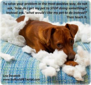 so much petential google+ dog training quote