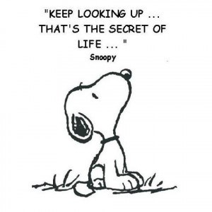 ... looking up ... that's the secret of life. Snoopy #CharlesSchulz #quote