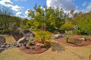 Low Maintenance Landscape Design Idea