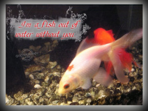 Posted by parm buttar at 09:51