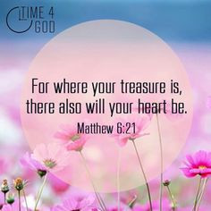 The book of Matthew !