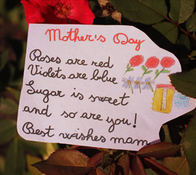 Mothers Day Wishes Quotes...