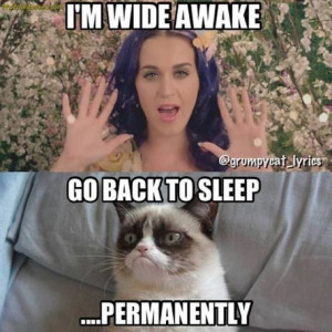 Katy Perry Memes