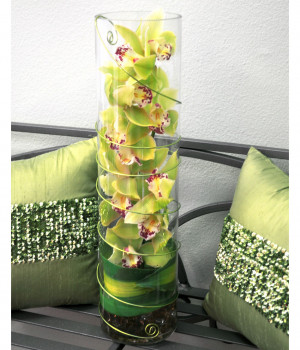 Flower Orchid Floral Arrangements