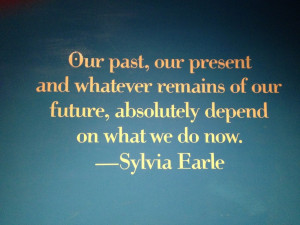 ... EarleUnforgettable Quotes, Future Job, Sylvia Earl, Quotes Thoughts