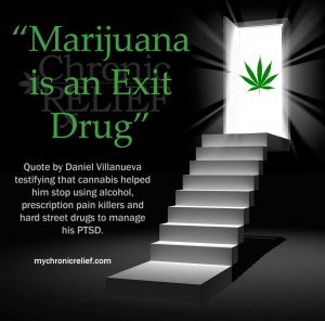 Marijuana is an Exit Drug.” Quote by Daniel Villanueva testifying ...