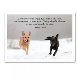 two dogs running in snow with Thomas Dreier quote;