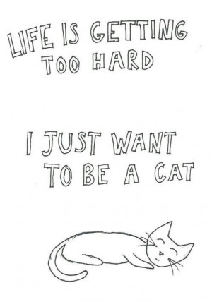 ... monday, problems, quote, quotes, school, ugh, life is hard so be a cat