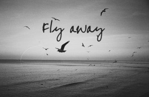 ... fly away, girl, girls, hope, life, love, nature, paradise, quote