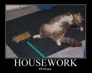 TODAY – April 7th is NO HOUSEWORK DAY !!!