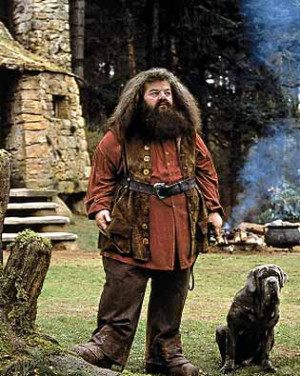 Mascotas de Hagrid