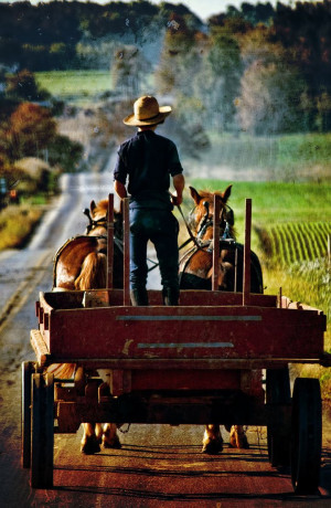 ... Country Roads, Amish Life, Amish Country, Country Living, Pennsylvania