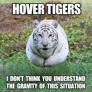 Hover Tigers Are A Real Problem