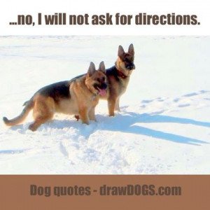 Witty dog quotes from man’s best friend