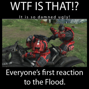 Halo Flood Memes