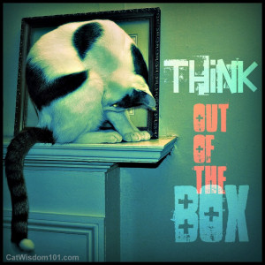 think out of the box-quote-cat-art-cat wisdom 101