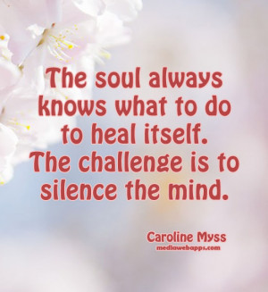 The Soul Always Knows What To Do To Heal Itself - Challenge Quotes