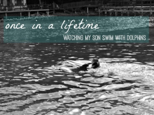 Escape with Your Family: Swim with Dolphins in Jamaica