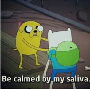 Adventure Time - Jake Quotes lol this is what Luna would say xD