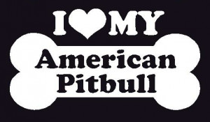 pitbull love