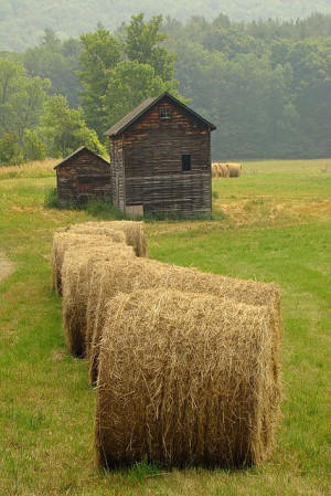 ... Farms, Country Living, Farms Life, Country Life, Haybale, Old Barns