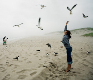 beach, bird, birds, fly, girl, inspiring, photo, photography, pigeon ...