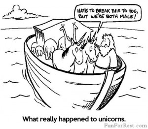 funny-Noah-Ark-animals-unicorns-male