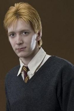George Weasley - Harry Potter Wiki