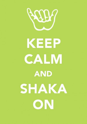 ... Hawaiian Quotes, El Surfing, Hawaiian Style, Keep Calm, Beaches Lovers