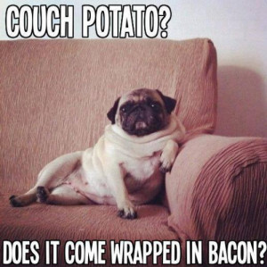 Couch Pugtato - Funny Pug Meme