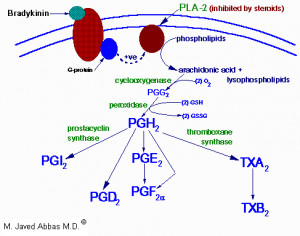 12 Outline of the synthesis of eicosenoids viz prostaglandins