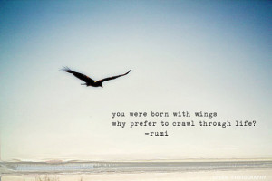 bird, life, quote, sky