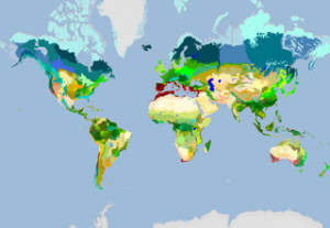 Sep Terrestrial Biome Map The World