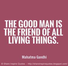 ... famous quotes # famous people # famous people quotes mahatma gandhi