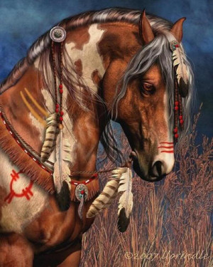 indian horse by werewolves0791