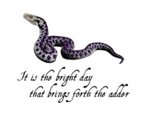 ... Print - Shakespeare Quote - Julius Caesar - Shakespeare's Menagerie