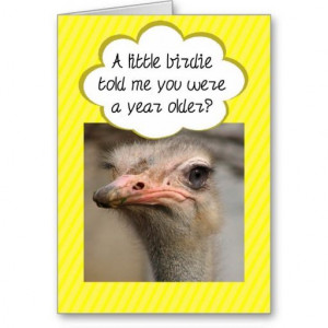 Funny Ostrich Rumour Humour Birthday Card