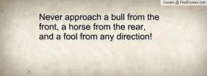 Never approach a bull from the front, a horse from the rear, and a ...