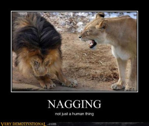 Stop the Nagging! | Forwarded Joke: Funny Stuff Jokes Video & Pictures