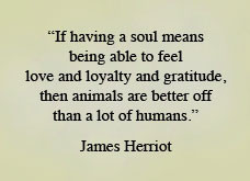 HICKORY VETERINARY HOSPITAL