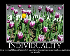 Securosis Blog | Incite 6/30/2010: Embrace Individuality