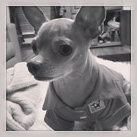 beejbee 244 days ago