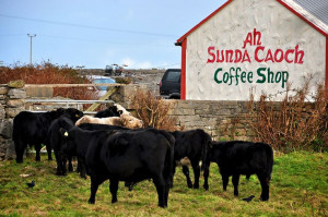 Coffee shop in Inishmore.