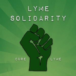 lyme disease problems