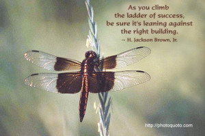 As you climb the ladder of success, be sure it's leaning against the ...